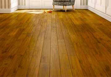 multipurpose and responsive